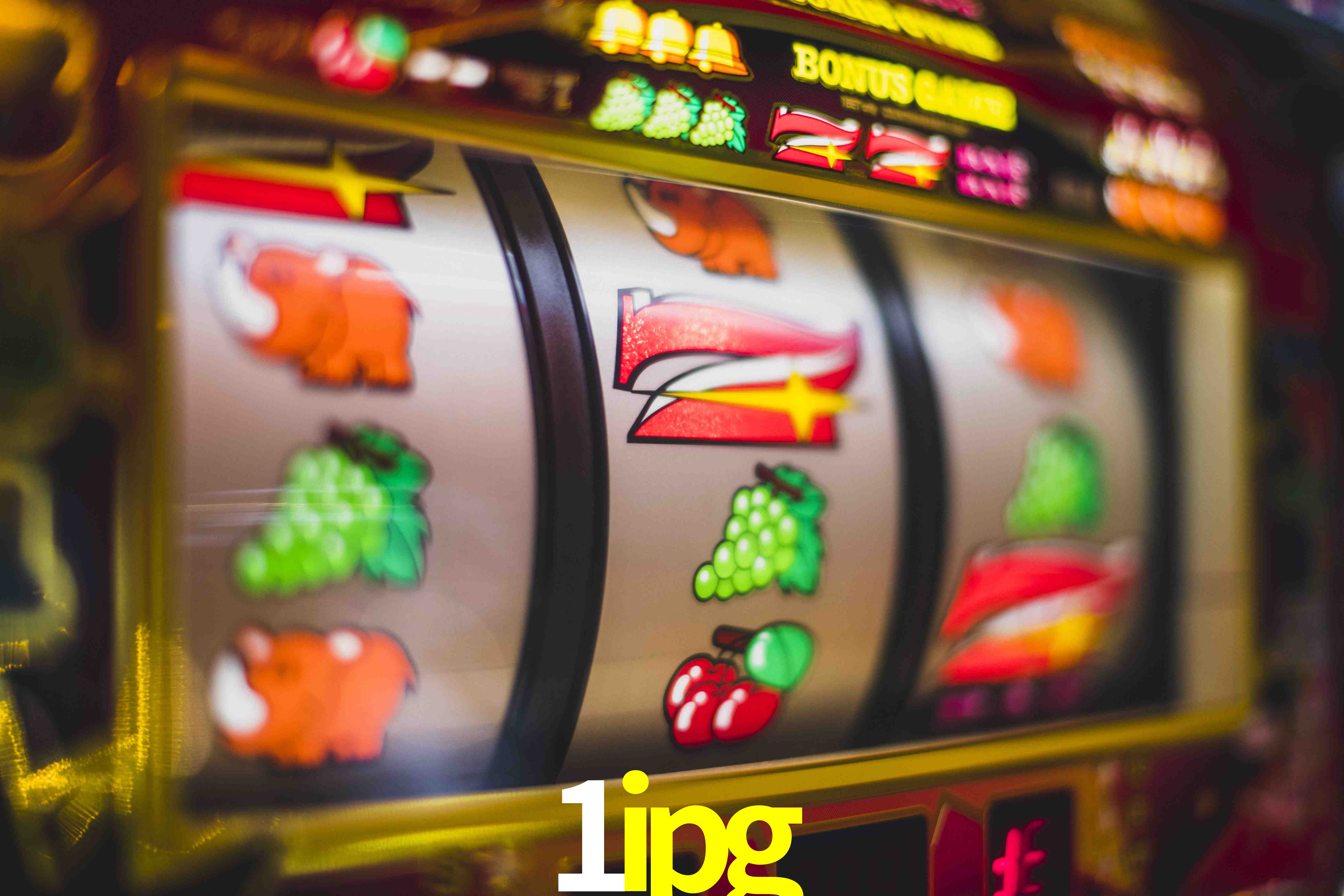 Basketball Betting 1ipg